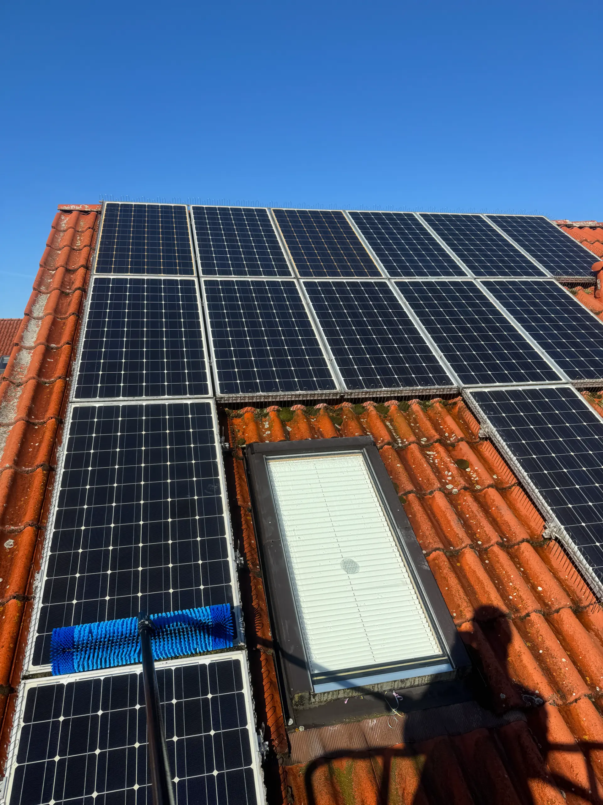 Photovoltaikanlage Wartung Taubenabwehr RELTRO