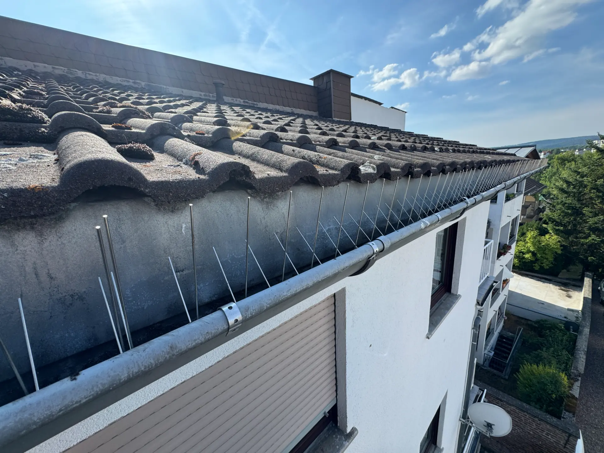 Vogelabwehr an der Fassade