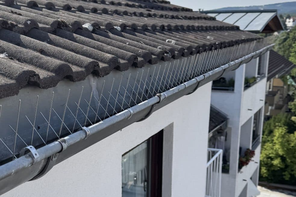 Taubenabwehr auf Fenstersims montiert RELTRO